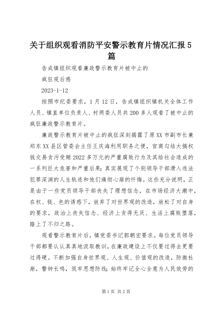 2023年组织观看消防安全警示教育片情况汇报5篇.docx_第1页