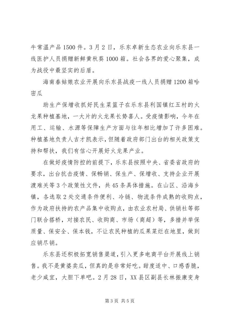 2023年抗击疫情乐东时刻党旗引领防控生产两不误.docx_第3页