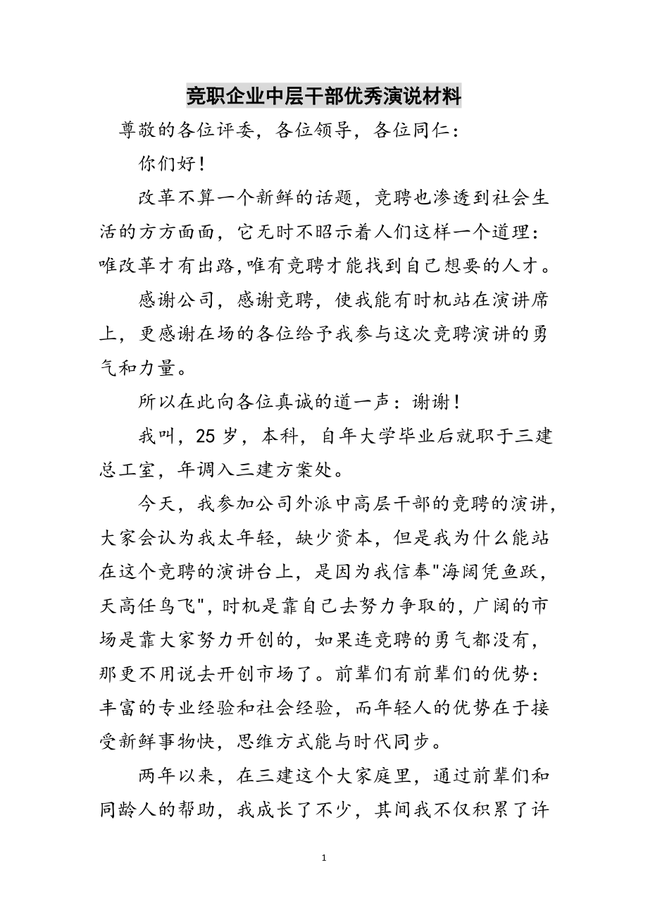 2023年竞职企业中层干部优秀演说材料范文.doc_第1页