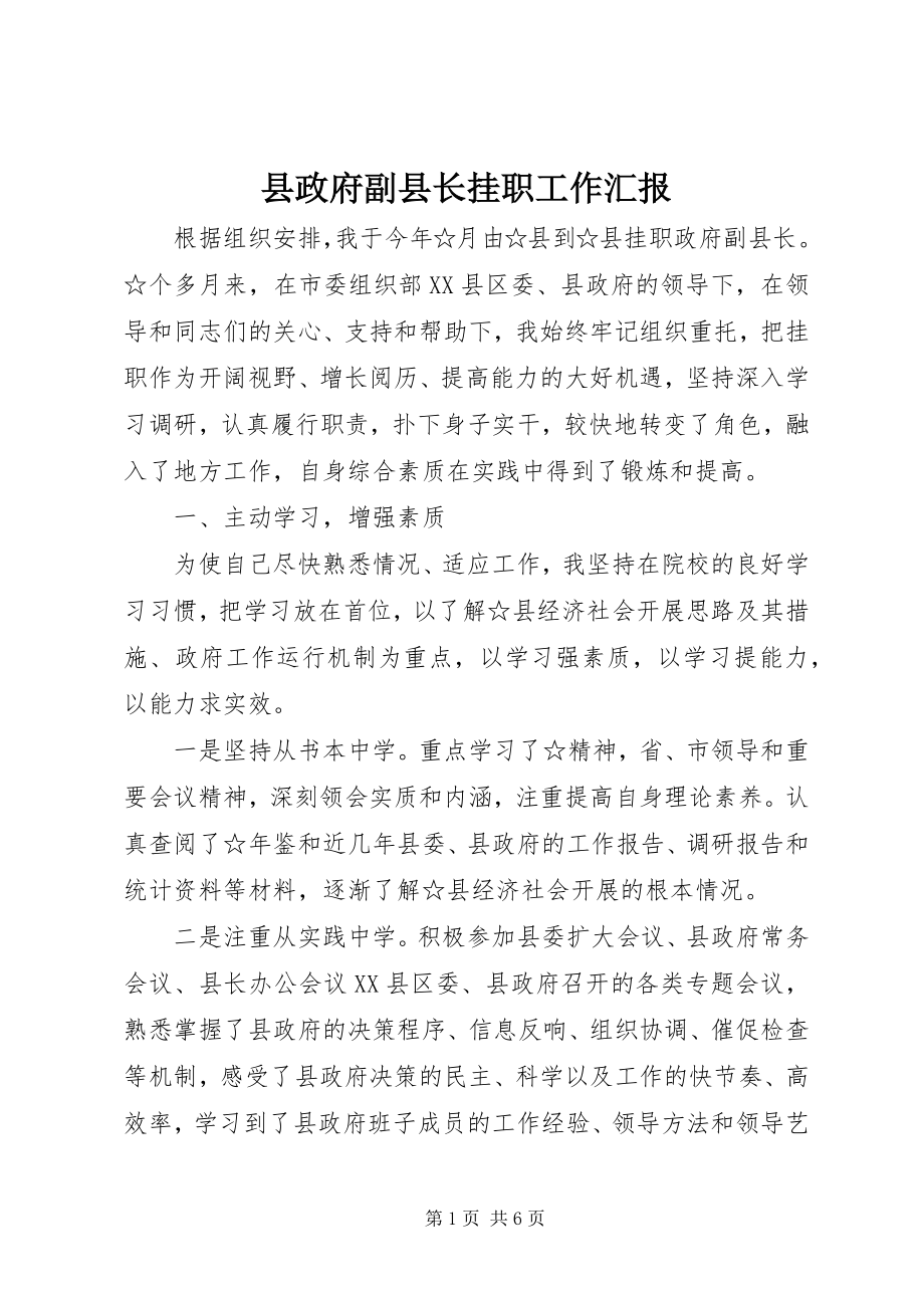 2023年县政府副县长挂职工作汇报.docx_第1页