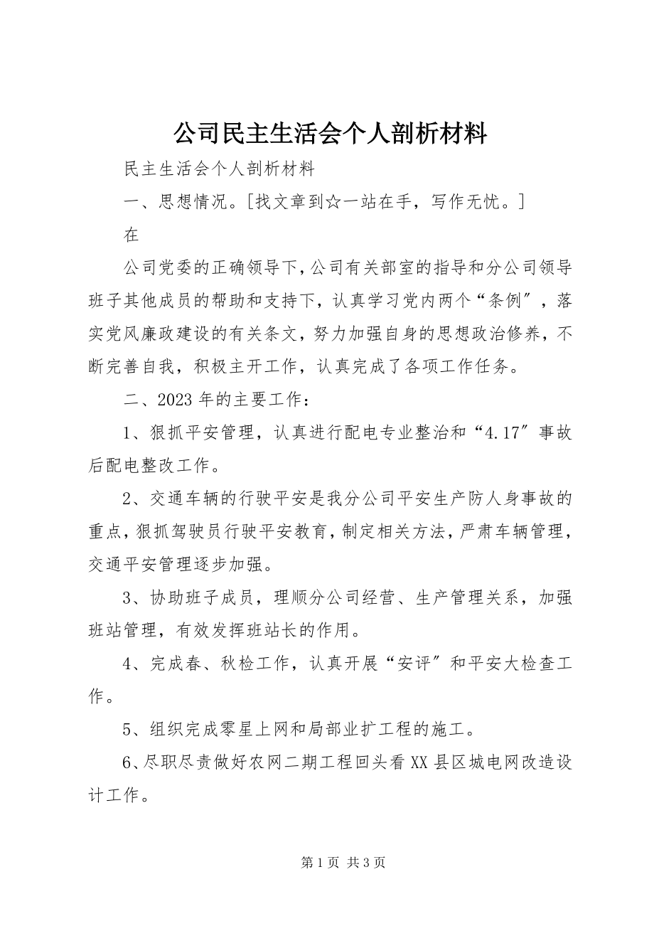 2023年公司民主生活会个人剖析材料.docx_第1页