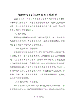 2023年市旅游局政务公开工作总结.docx