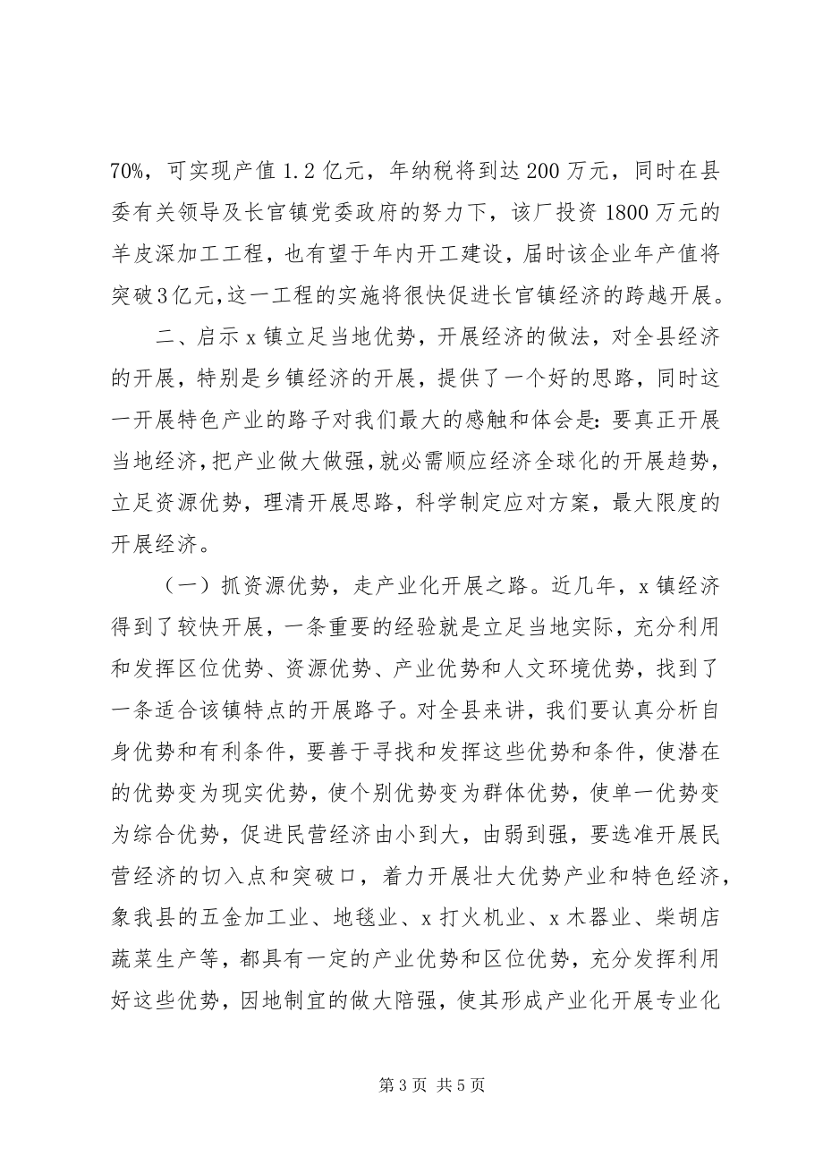 2023年对X镇立足资源优势发展镇域经济的调查与思考.docx_第3页