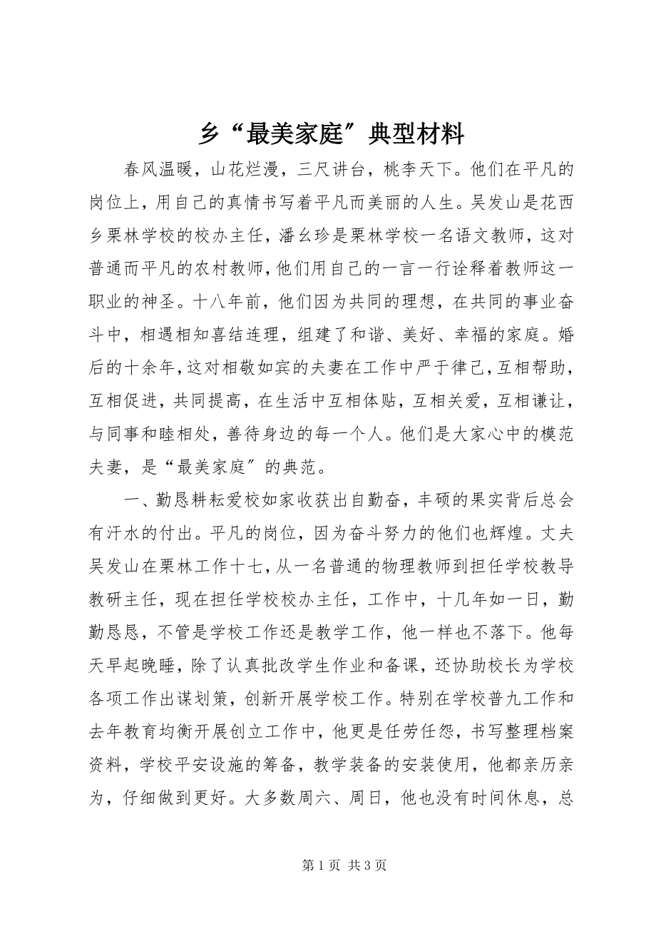 2023年乡“最美家庭”典型材料.docx_第1页