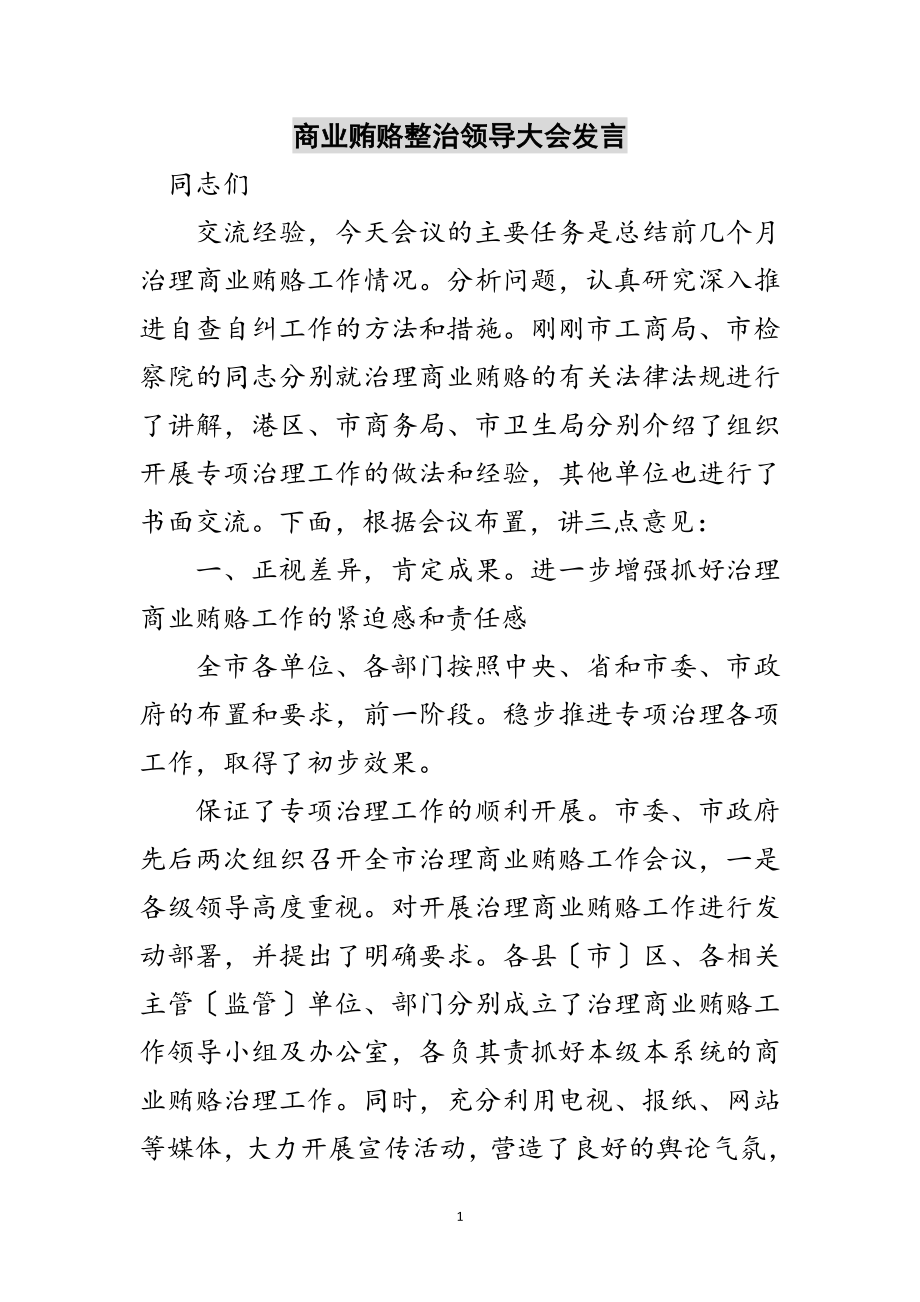 2023年商业贿赂整治领导大会发言范文.doc_第1页