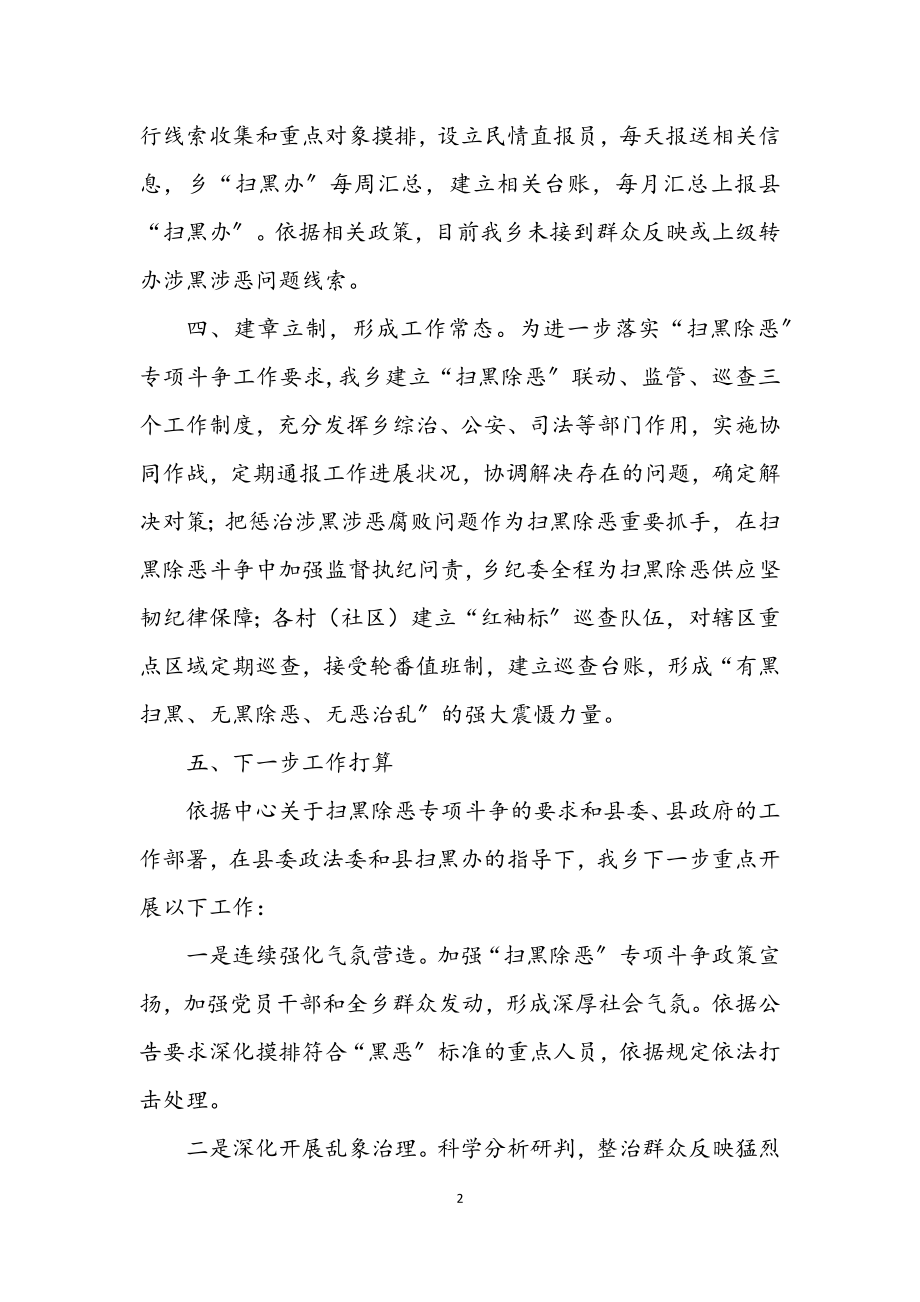 2023年副乡长扫黑除恶工作汇报.docx_第2页