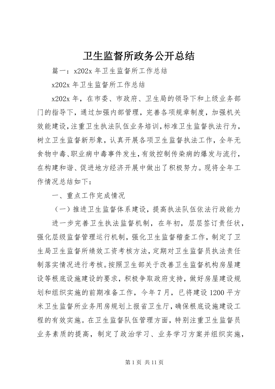 2023年卫生监督所政务公开总结.docx_第1页