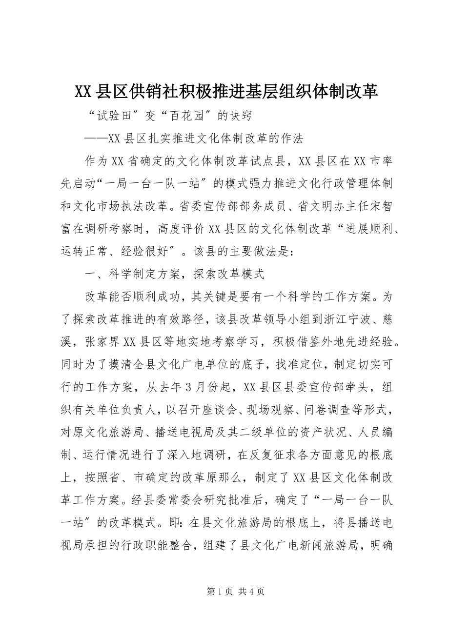 2023年XX县区供销社积极推进基层组织体制改革新编.docx_第1页