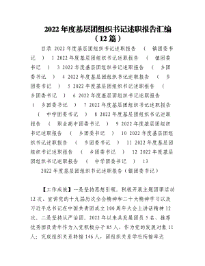 （12篇）2022年度基层团组织书记述职报告汇编.docx