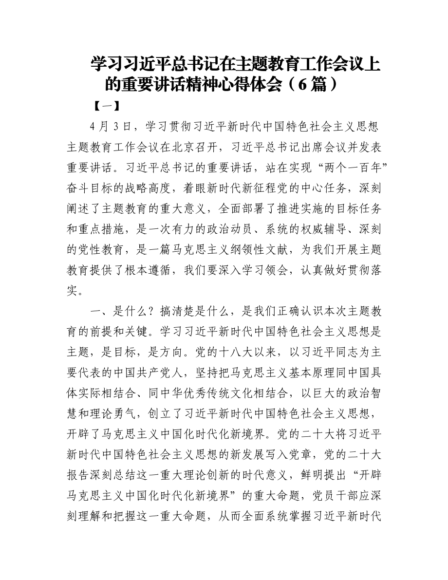 2023年(6篇)学习习近平总书记在主题教育工作会议上的重要讲话精神心得体会.docx_第1页