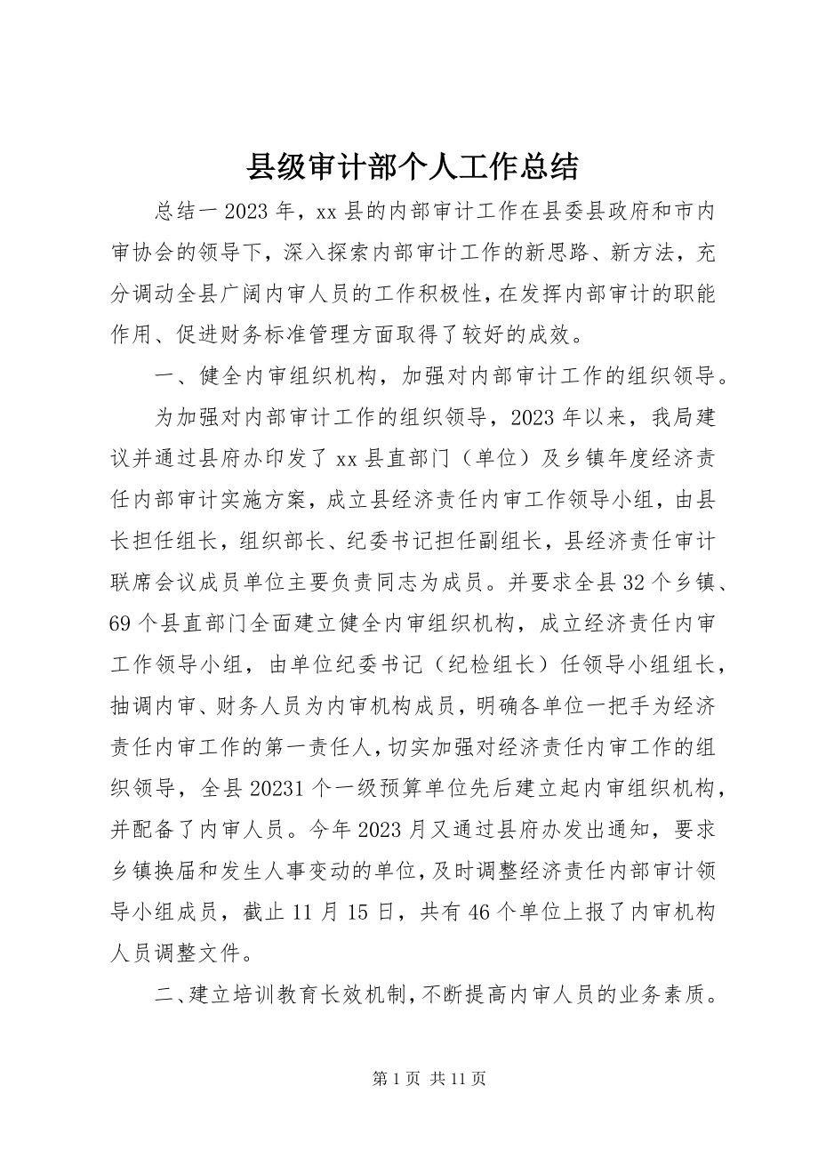 2023年县级审计部个人工作总结.docx_第1页