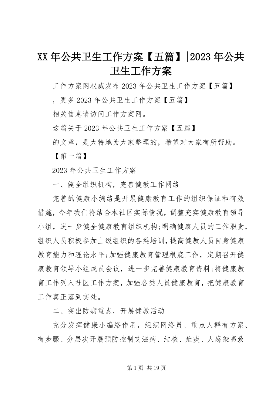 2023年公共卫生工作计划【五篇】公共卫生工作计划.docx_第1页