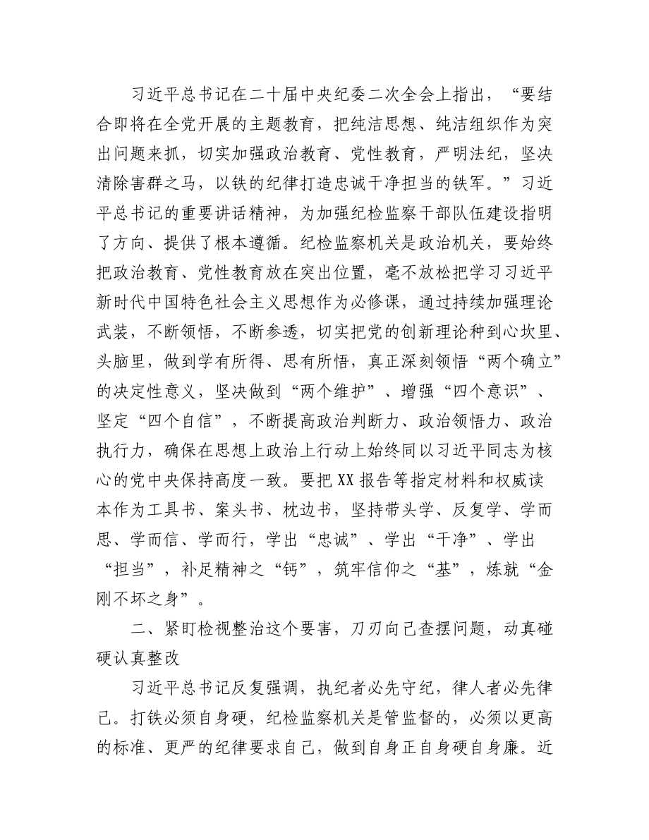 (3篇)2023纪检监察干部队伍教育整顿专题学习研讨心得体会发言材料.docx_第2页