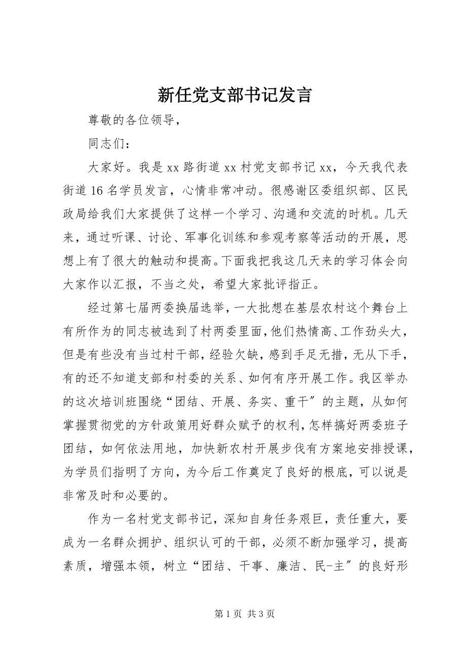 2023年新任党支部书记讲话.docx_第1页