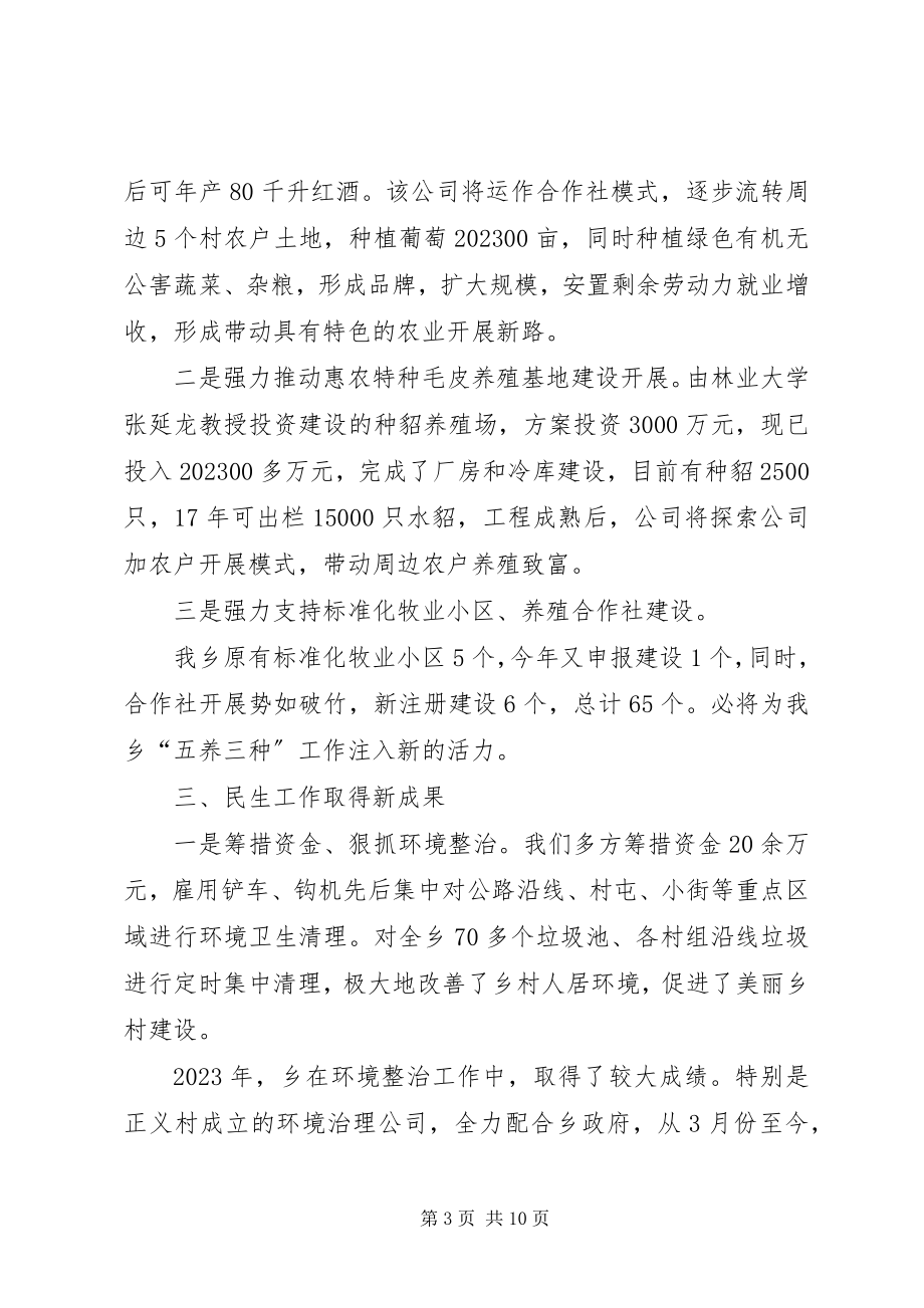 2023年乡镇经济民生工作总结.docx_第3页