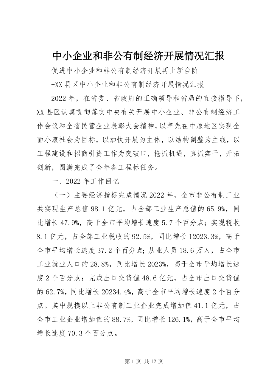 2023年中小企业和非公有制经济发展情况汇报.docx_第1页