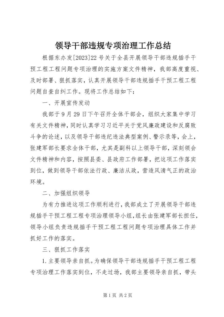 2023年领导干部违规专项治理工作总结.docx_第1页