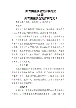 (2篇)共青团座谈会发言稿范文.docx