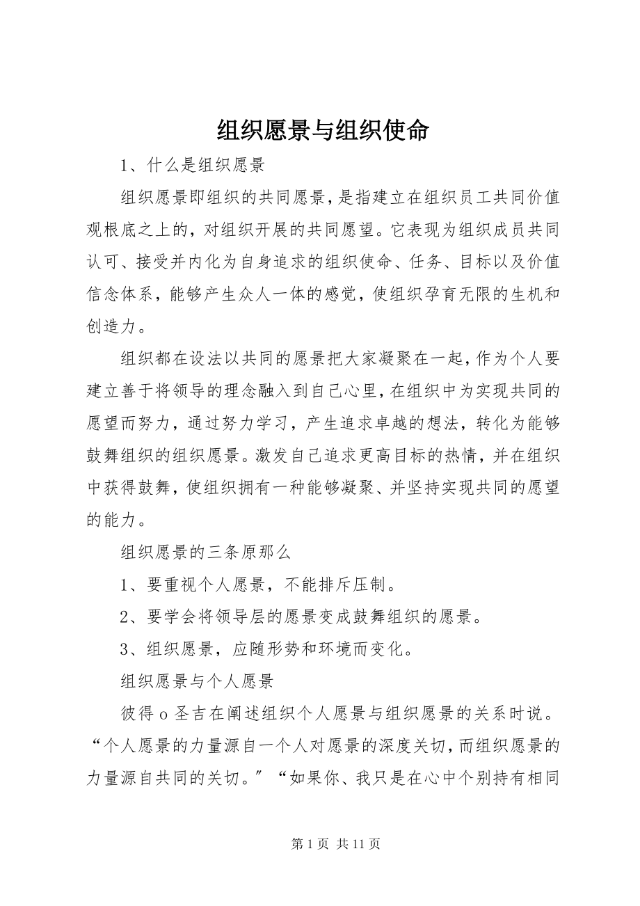 2023年组织愿景与组织使命.docx_第1页