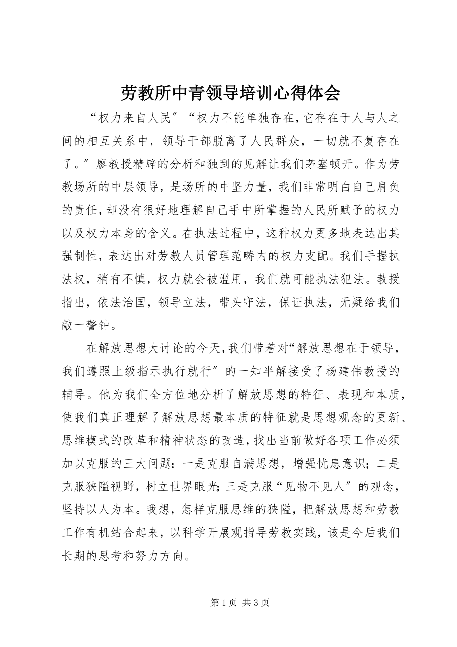 2023年劳教所中青领导培训心得体会.docx_第1页