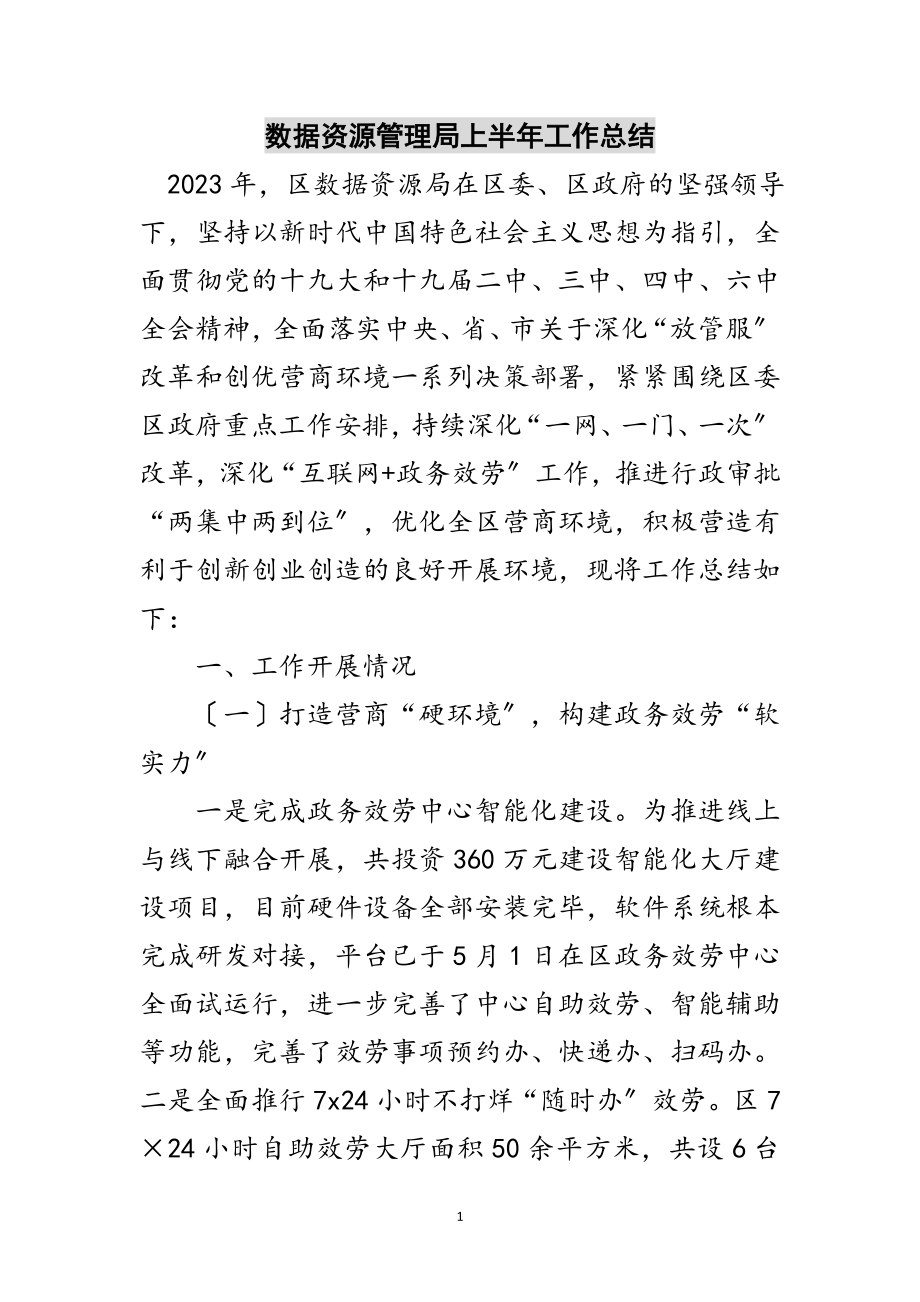 2023年数据资源管理局上半年工作总结范文.doc_第1页