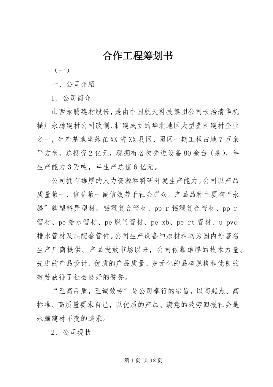 2023年合作项目策划书.docx_第1页