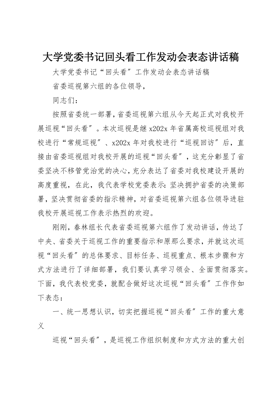 2023年大学党委书记回头看工作动员会表态致辞稿.docx_第1页