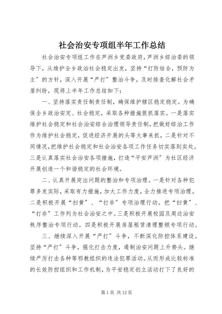 2023年社会治安专项组半年工作总结.docx_第1页