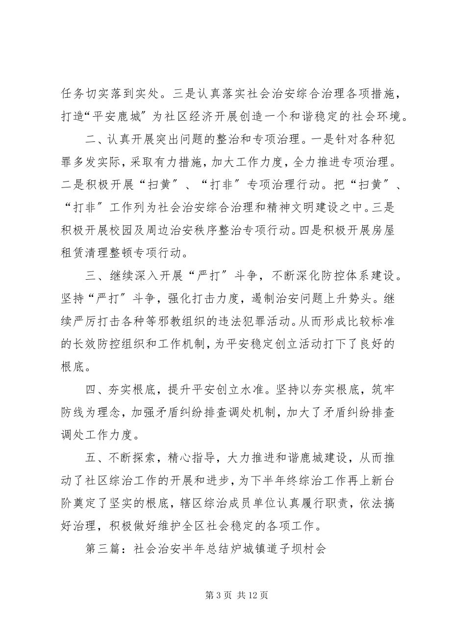 2023年社会治安专项组半年工作总结.docx_第3页