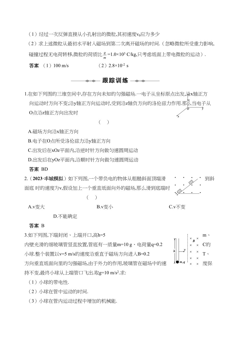 2023年高考物理精品讲练系列学案洛伦兹力doc高中物理.docx_第3页