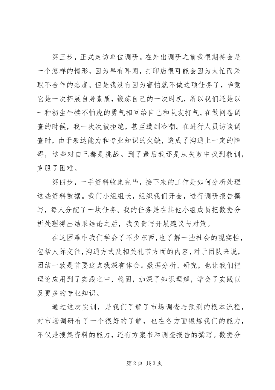 2023年市场调研个人总结最终.docx_第2页