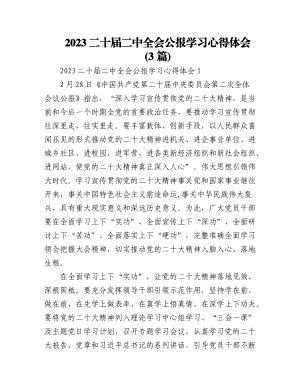 (3篇)2023二十届二中全会公报学习心得体会.docx