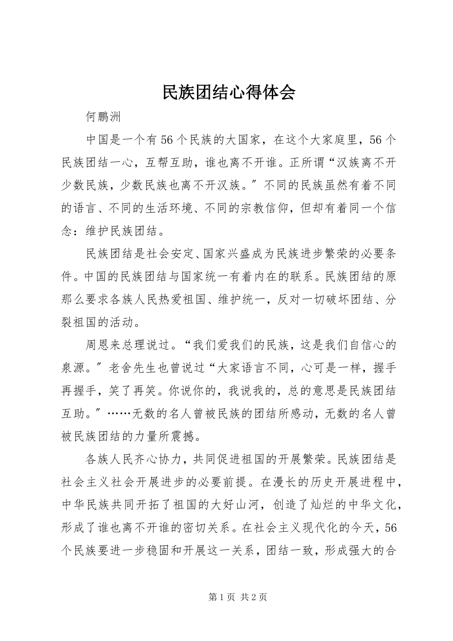 2023年民族团结心得体会.docx_第1页