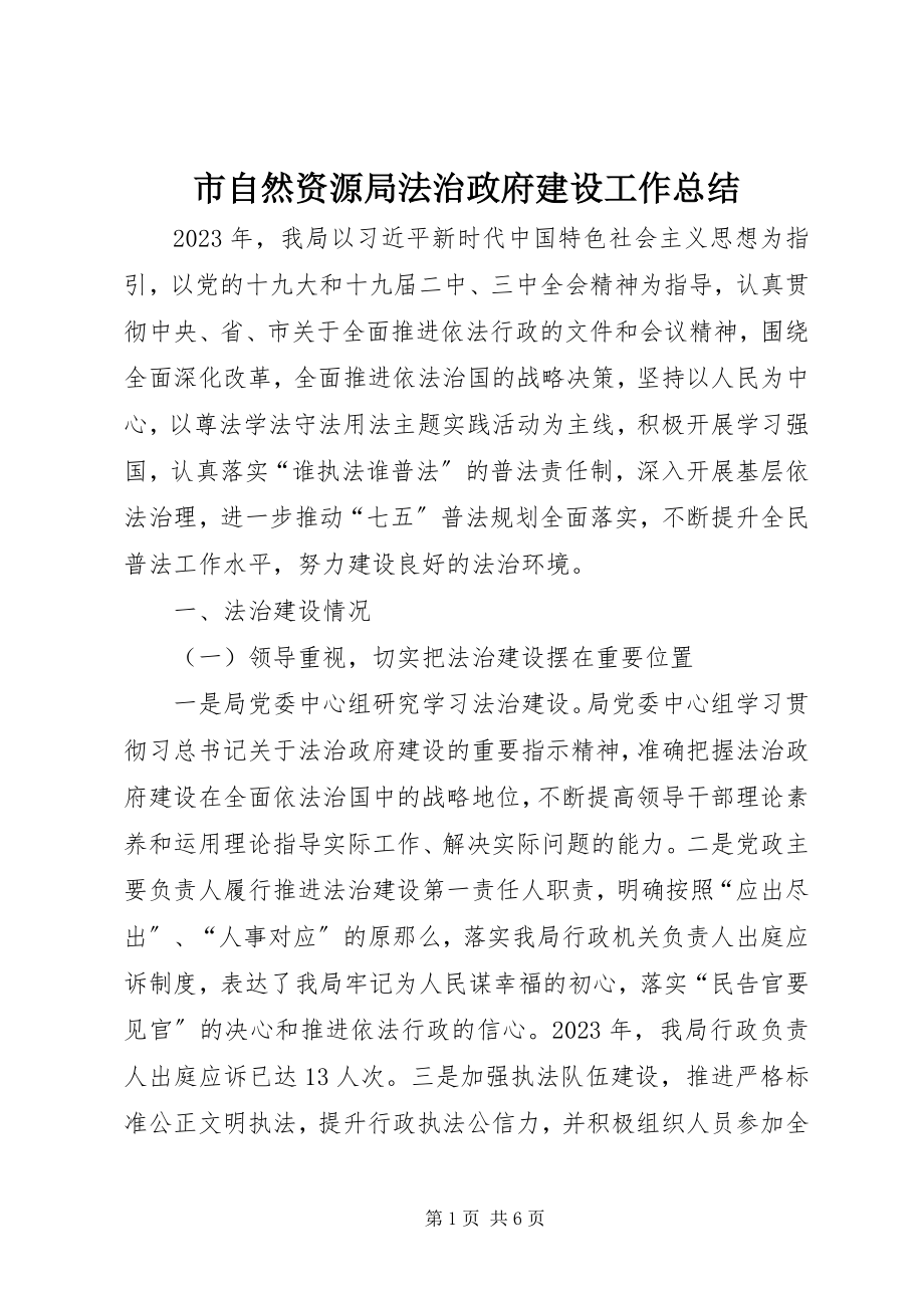 2023年市自然资源局法治政府建设工作总结.docx_第1页