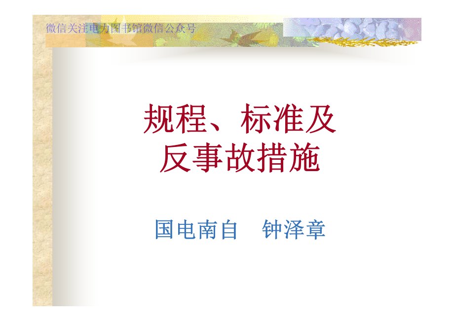 继电保护技术比武规程、标准及反措培训要点.pdf_第1页