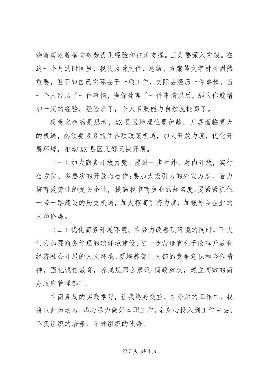 2023年商务局挂职锻炼实践学习心得体会.docx_第3页