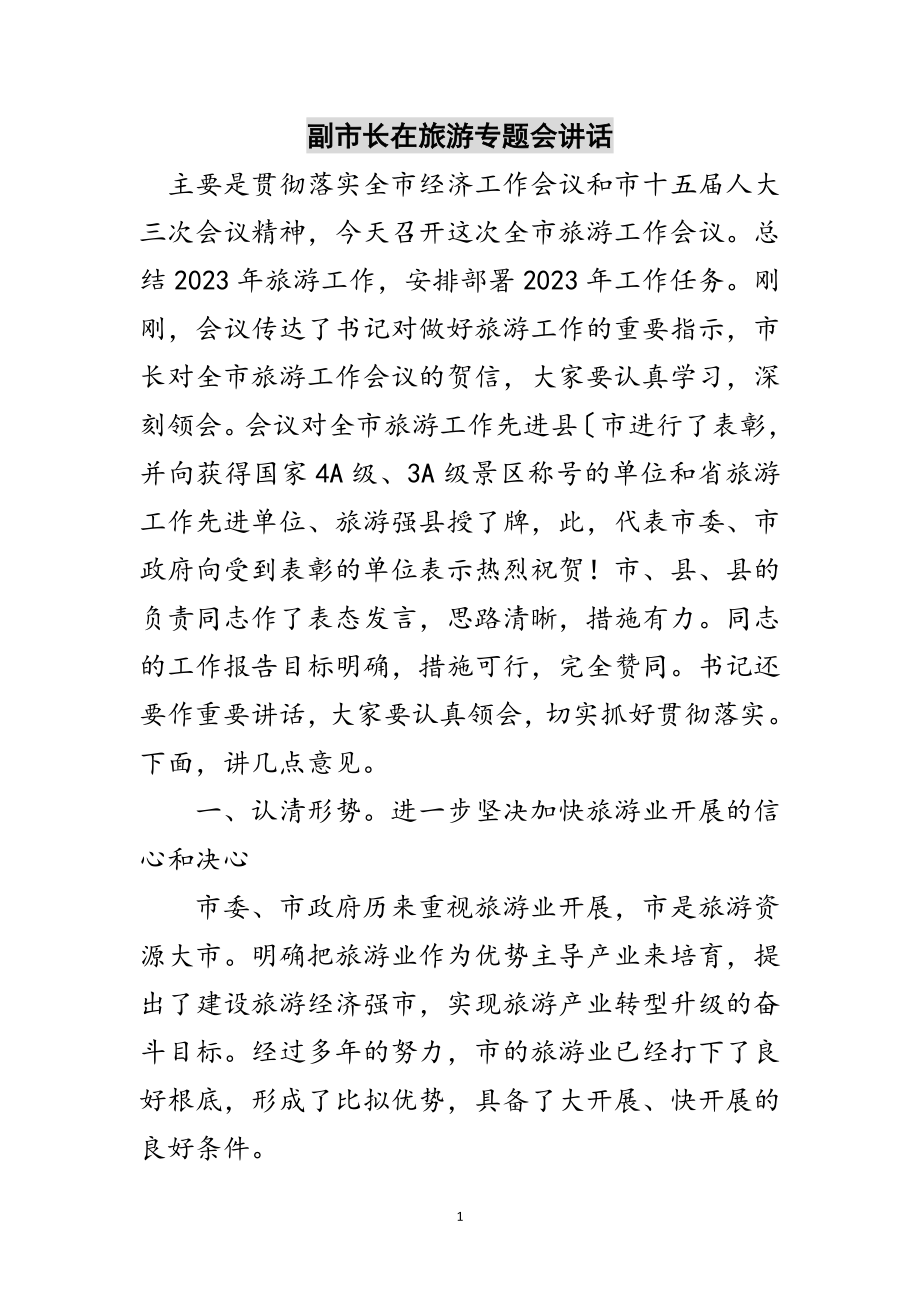 2023年副市长在旅游专题会讲话范文.doc_第1页