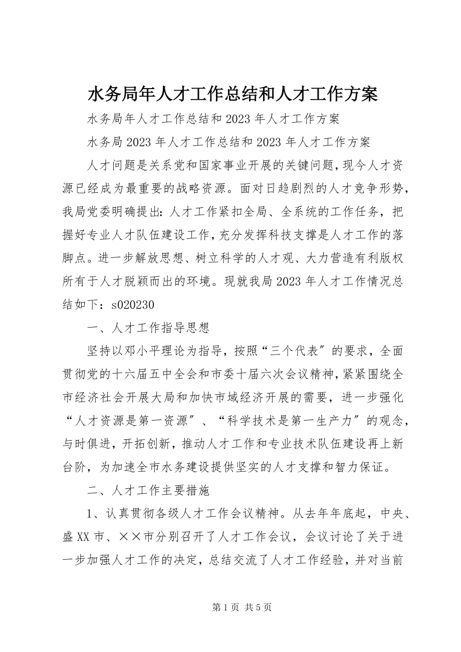 2023年水务局年人才工作总结和人才工作计划.docx_第1页