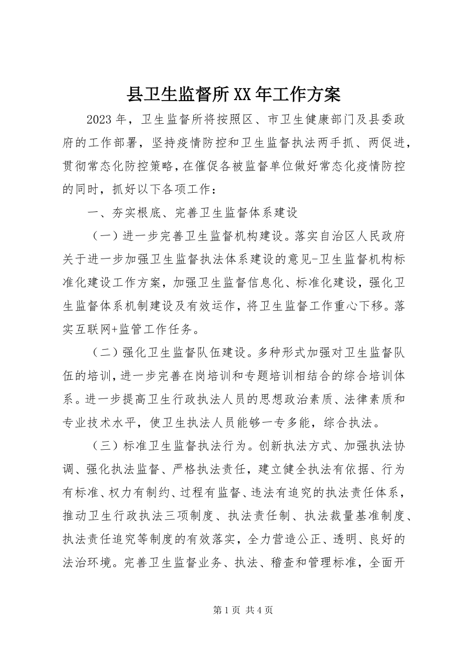 2023年县卫生监督所工作计划.docx_第1页