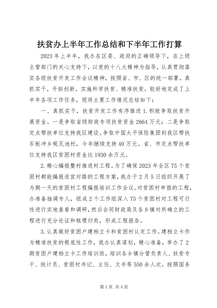 2023年扶贫办上半年工作总结和下半年工作打算.docx_第1页