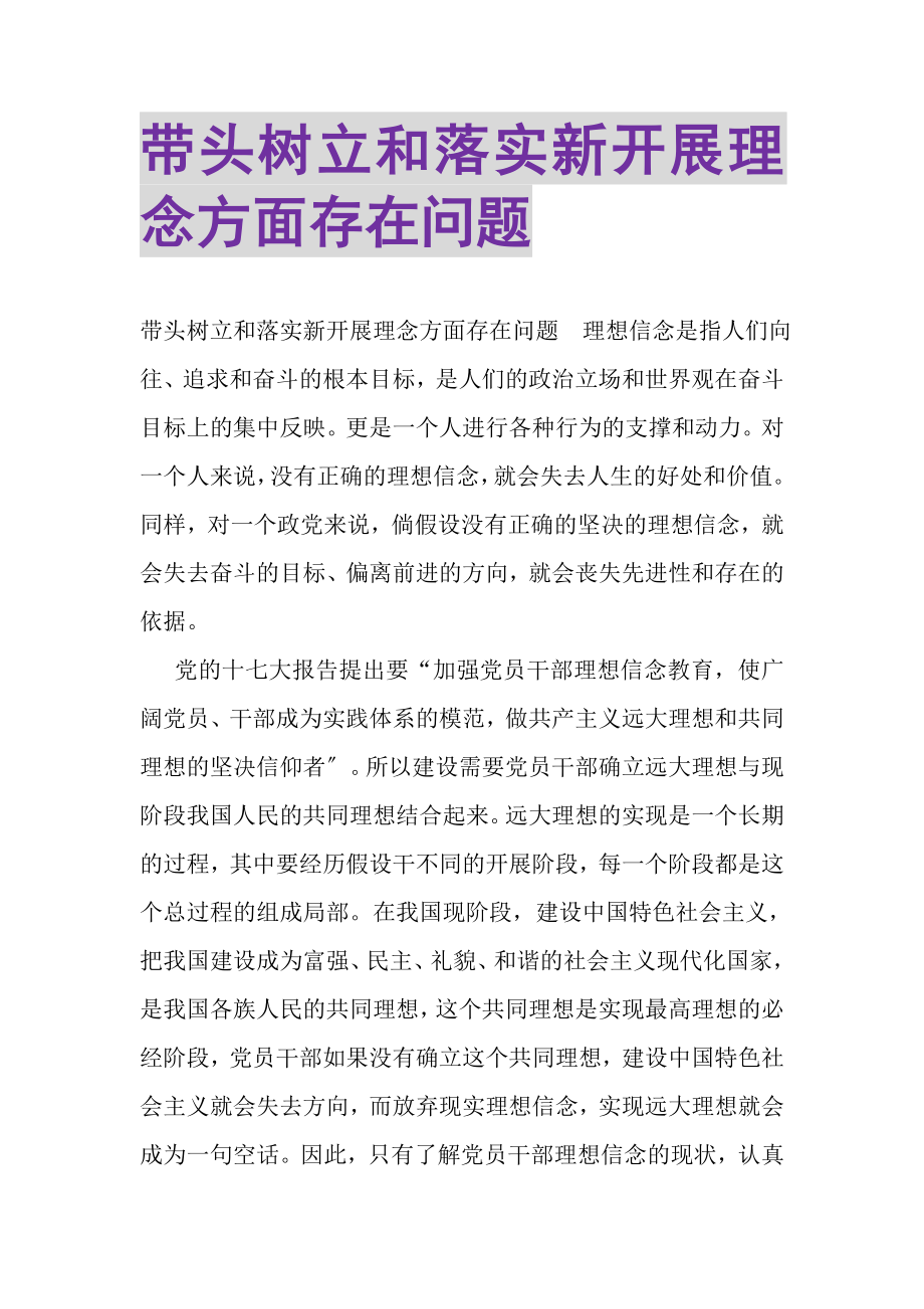 2023年带头树立和落实新发展理念方面存在问题.doc_第1页