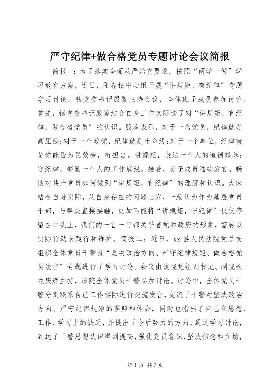 2023年严守纪律做合格党员专题讨论会议简报.docx_第1页