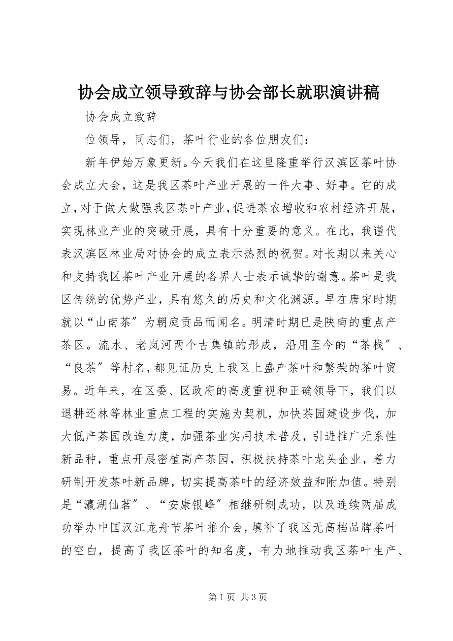 2023年协会成立领导致辞与协会部长就职演讲稿.docx_第1页