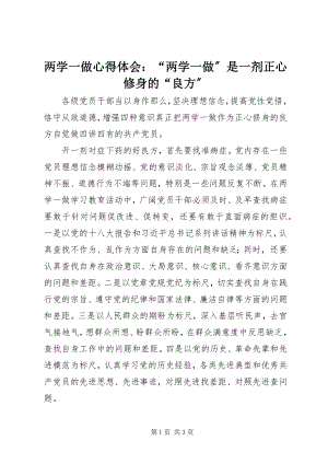 2023年两学一做心得体会“两学一做”是一剂正心修身的“良方”.docx