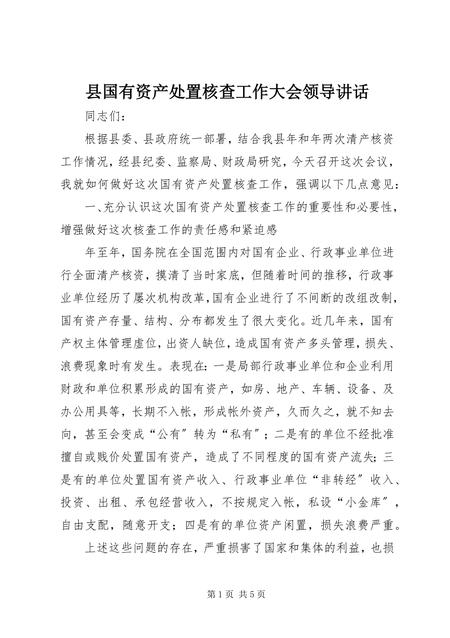 2023年县国有资产处置核查工作大会领导致辞.docx_第1页