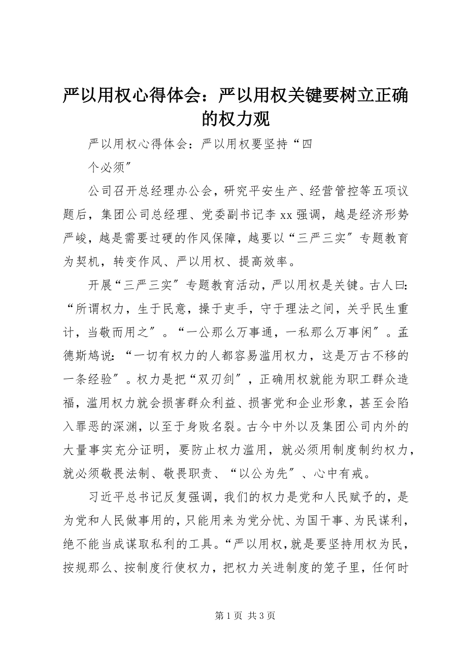 2023年严以用权心得体会严以用权关键要树立正确的权力观.docx_第1页