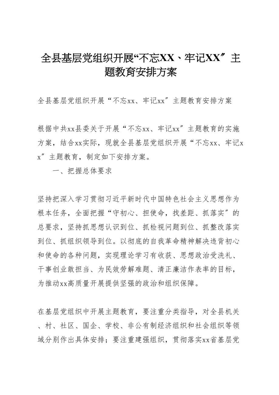 2023年全县基层党组织开展不忘牢记主题教育安排方案.doc_第1页