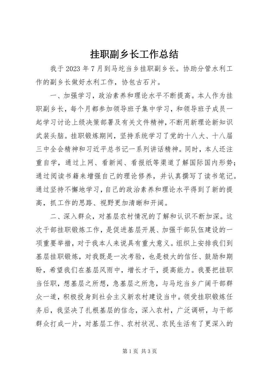 2023年挂职副乡长工作总结.docx_第1页