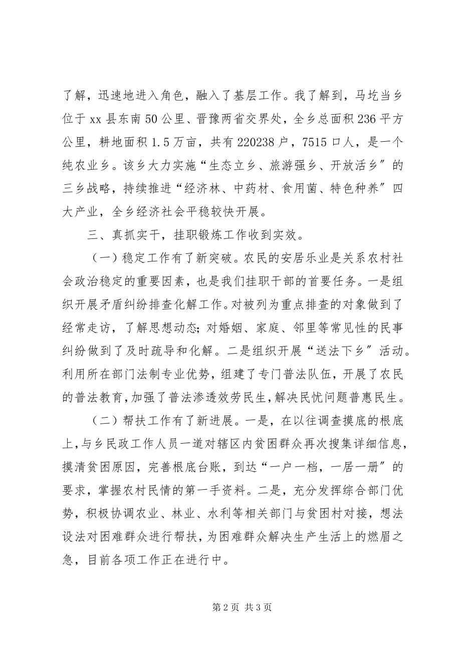 2023年挂职副乡长工作总结.docx_第2页