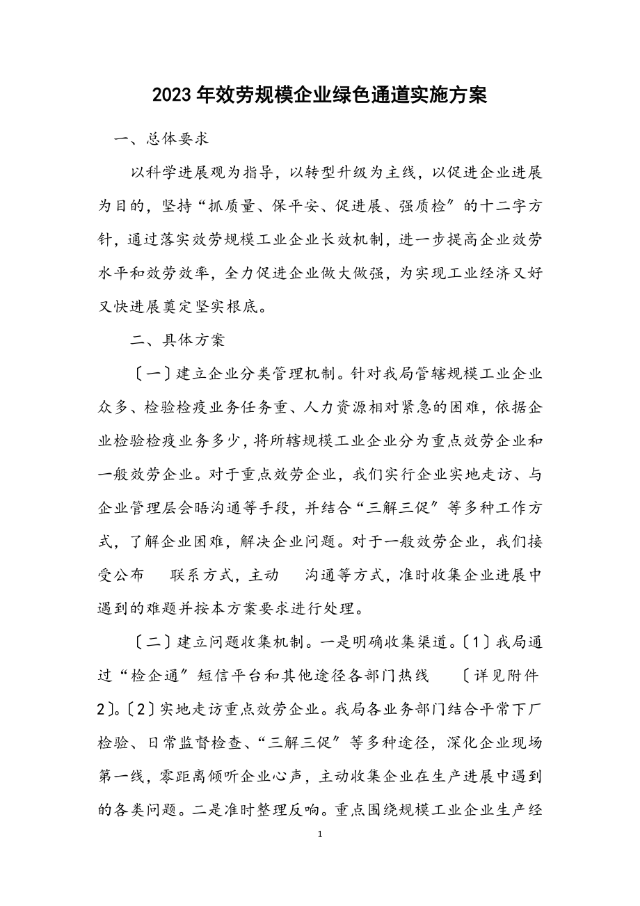 2023年服务规模企业绿色通道实施方案.docx_第1页